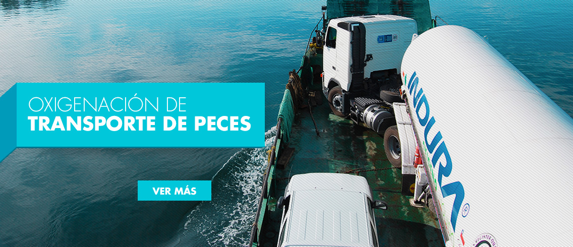 Oxigenación de Transporte de Peces